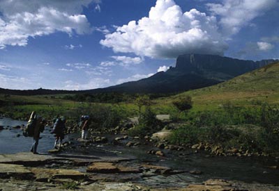 Sdamerika, Venezuela: Venezuela Intensiv - Trekkingreise - Trekking auf den Tafelberg Auyan Tepui 